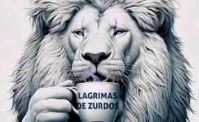 Imagen final